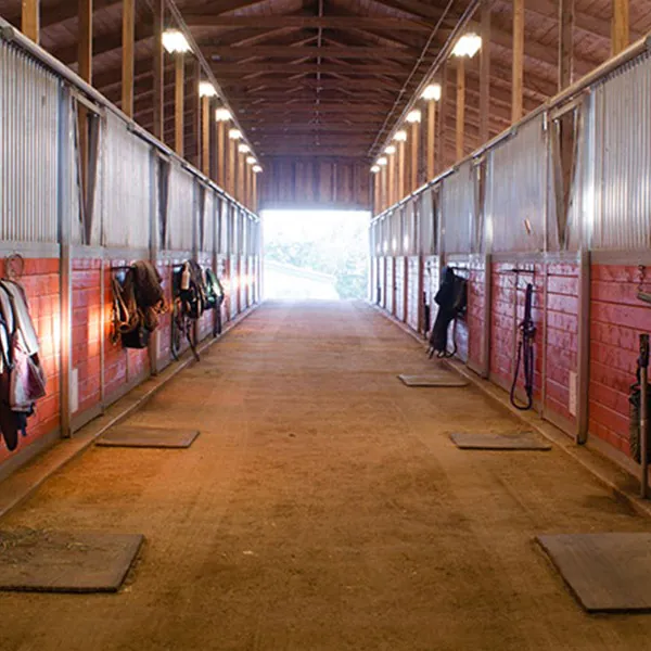 Illuminazione per aziende agricole